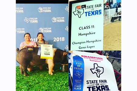 18 State Fair Of Texas, Grand Champion Hampshire Breeding Gilt, Shown by Genai Lopez Test