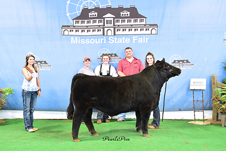 18 Missouri State Fair, FFA Reserve Champion Maintainer Steer, Show by Jillian Bryant Test