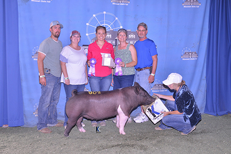 18 Missouri State Fair, Grand Champoin FFA Crossbred Gilt, Shown by Bailey Boland Test