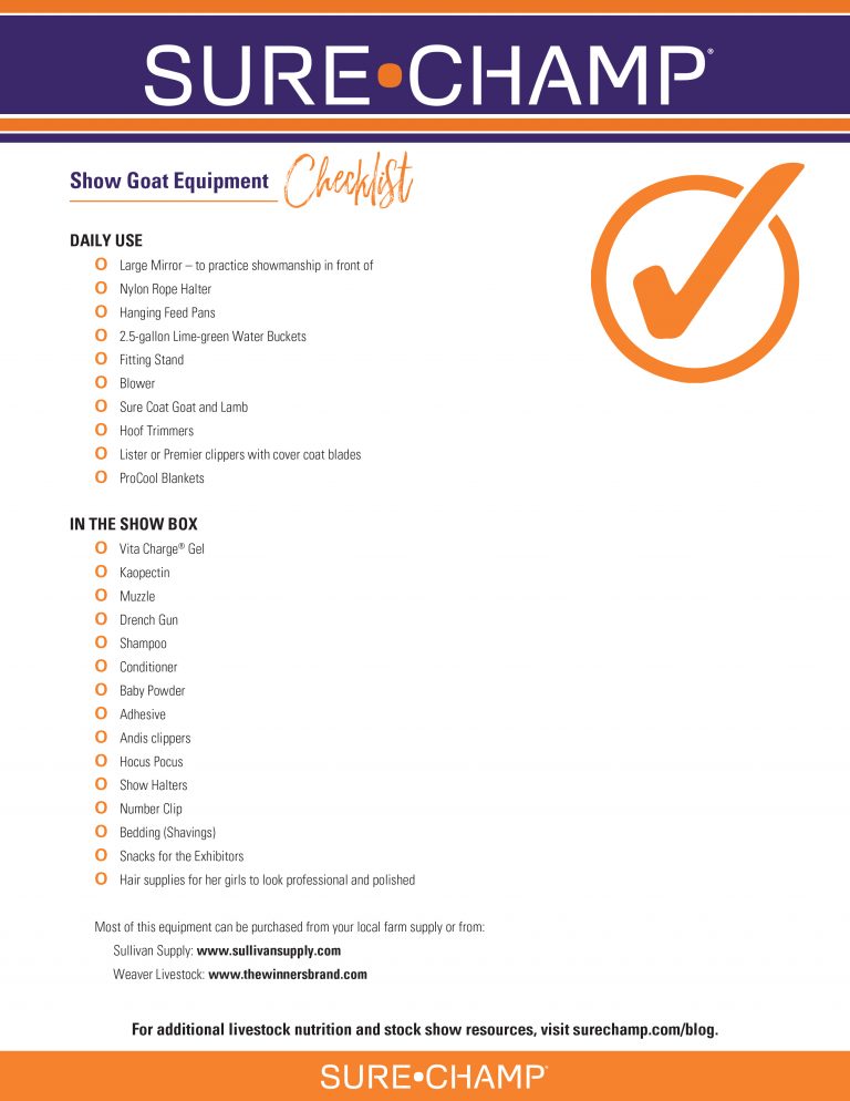 Show Mom Perspective Goats Make a Great Starter Project, Require Less