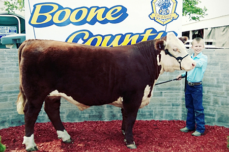 2019 Boone County Fair, 4H Reserve Grand Champion Hereford Steer, Shown by Kolton Knutson-test