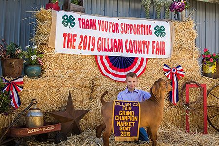 2019 Gilliam County Fair, Grand Champion Market Goat, Shown by Hunter Wilson-test