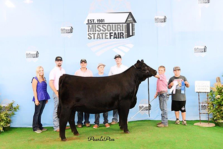 2019 Missouri State Fair, Grand Champion Purebred Simmental Heifer, Shown by Bryce Leefers-test