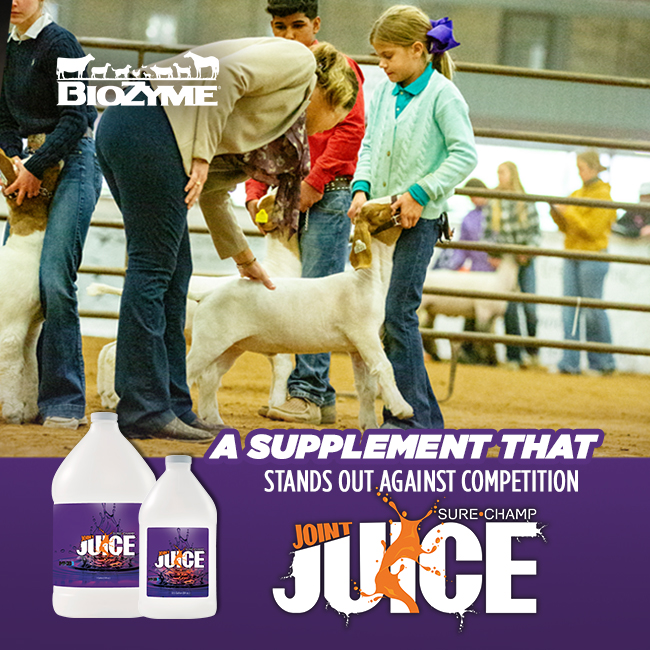 Joint Juice A Supplement that Stands Out Against the Competition
