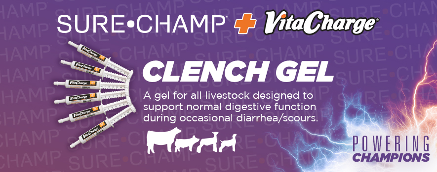 Vita Charge Clench Gel Provides Livestock Digestion Support