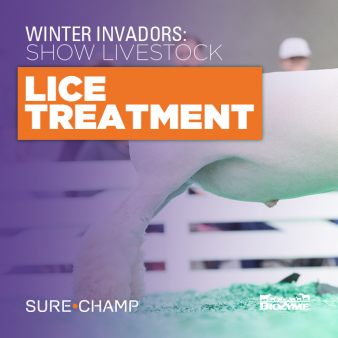 livestock lice treatment