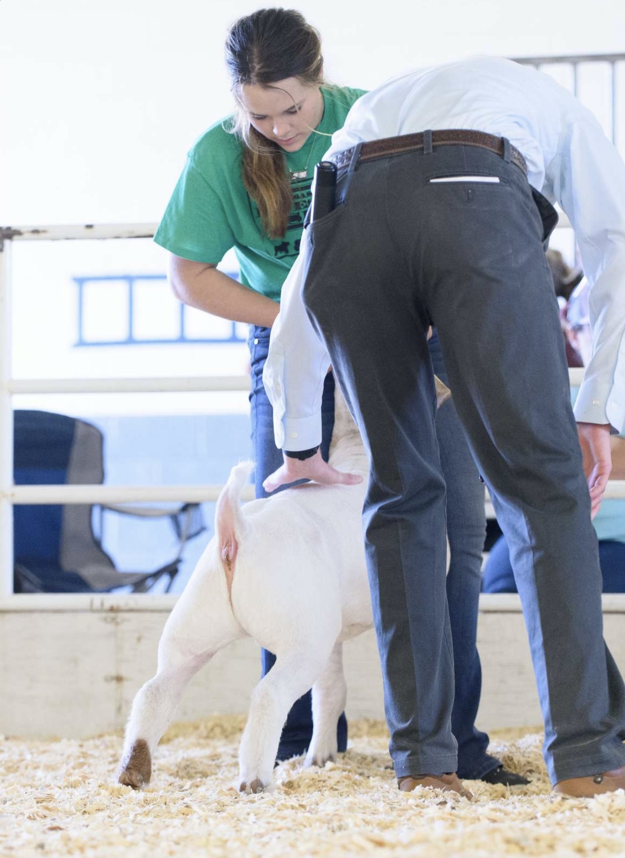 Breeding Success:  Optimizing Mature Female Goats - nv7pgpv