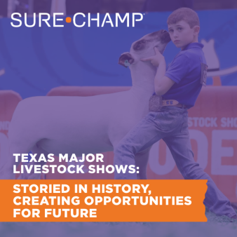 Texas Major Livestock Shows