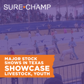 major stock shows in Texas