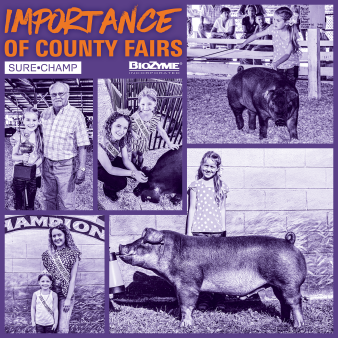 county fair champion olivia shike