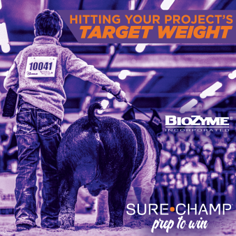 livestock weight