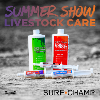 summer show livestock care