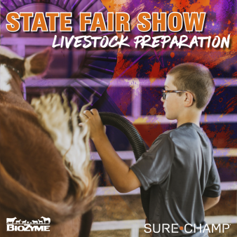 State Fair Show Livestock Preparation