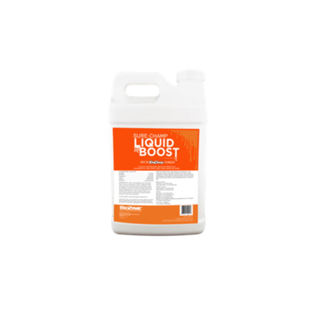 Sure Champ® Liquid Boost, powered by AO-Biotics® Amaferm®, helps support appetite, hydration, digestive health, and immune function during transportation, heat stress, and other environmental challenges encountered during state fair season.